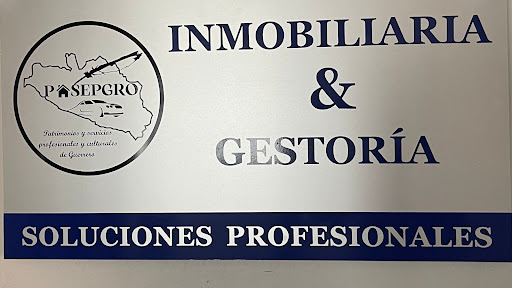 Pasepgro - Visual