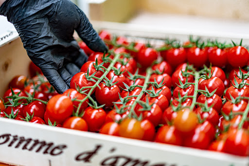 LA POMME D'AMOUR - Producteur de Tomates gustatives - Thumbnail