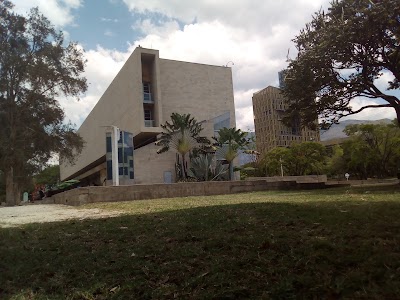 Photos of Parque Pies Descalzos
