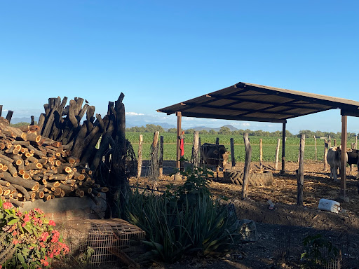EL MACAPULE - Visual
