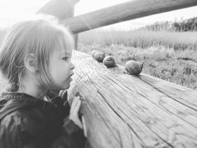 Photos of Kaņiera niedrāja taka