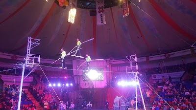 Photos of Улсын цирк