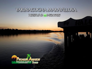 Pucallpa Amazon Tours Operador Turistico 4