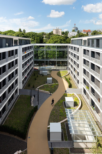 CAMPO NOVO Business Mainz photo