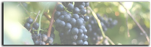 Apple Creek Vineyard & Winery