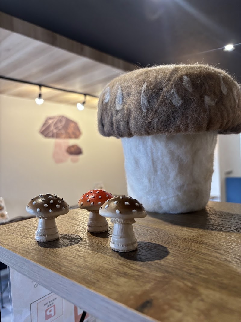 KINOKO STAND from さぬきのこ