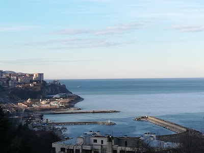 Zonguldak Belediye Mezbahanesi