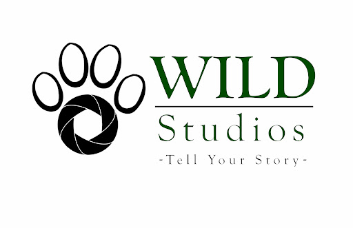 WILD Studios - Visual
