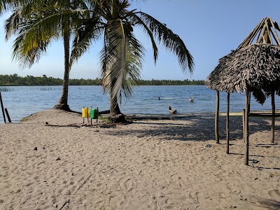 Photos of Andranokoditra