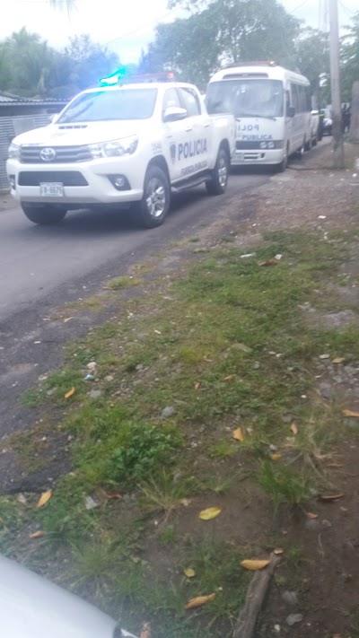 Photos of Colono Limon