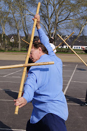 Photo n°2 de Le Phénix de Jade de la Bretagne Romantique à La Chapelle-aux-Filtzméens (Club de tai-chi)
