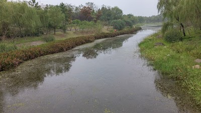 Photos of Jinkui Park