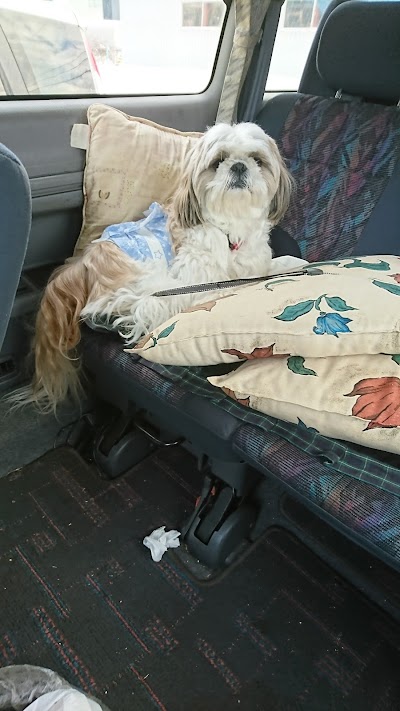 あいの里動物病院 Shibetsu Shi Hokkaido 81 11 778 5411