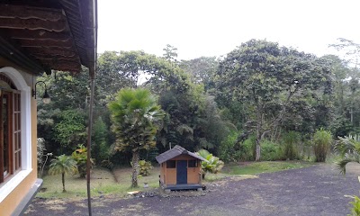 Photos of Hostal Posada Real