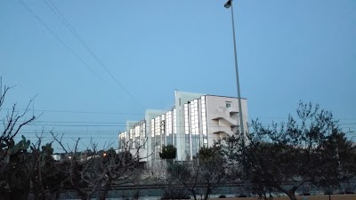 Photos of Appia Palace