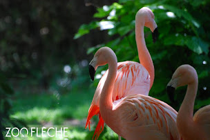 Photo n°24 de Zoo de La Flèche à La Flèche (Attraction touristique)