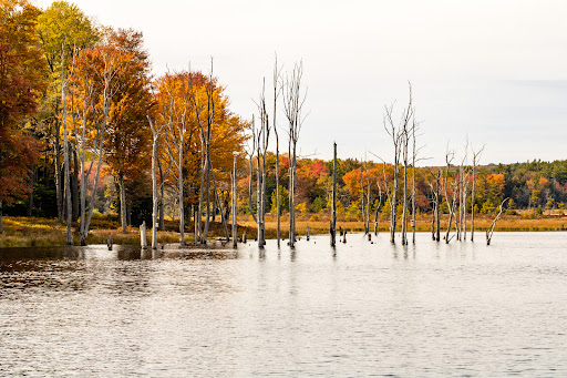 Beaver Run Pond Wildlife Viewing Area Parking Gallery - United States