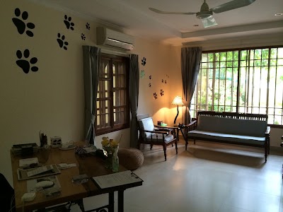 Photos of Pet Grooming Cambodia