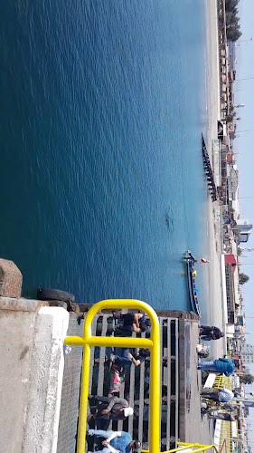 Comentarios y opiniones de Terminal Pesquero Mejillones