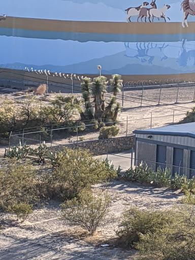 Telshor Self Storage - Thumbnail