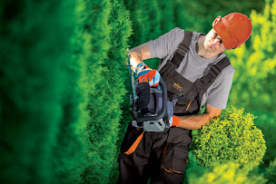 Photo n°12 de AXEO Services Haute Gironde à Étauliers (Service de ménage)