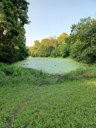 Hutchins Park - Thumbnail
