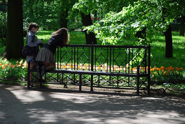 Summer garden