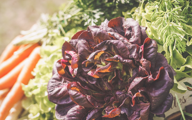 Papes Gemüsegarten - Standort Lehndorf photo