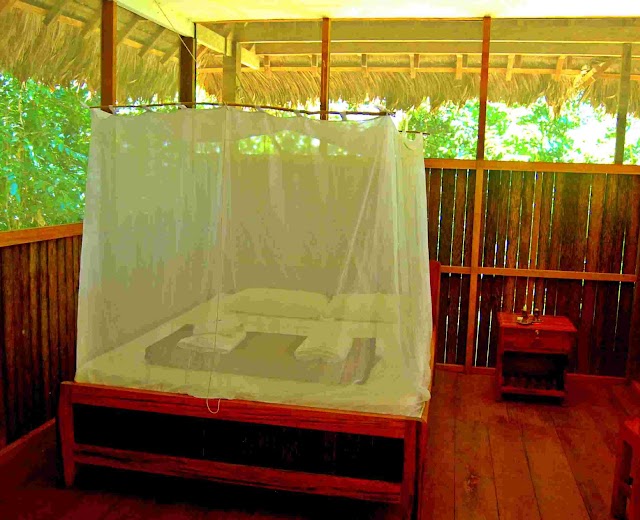 Madidi Jungle Ecolodge