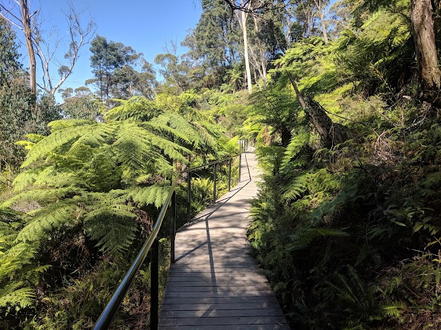 Blue Mountains Explorer Bus