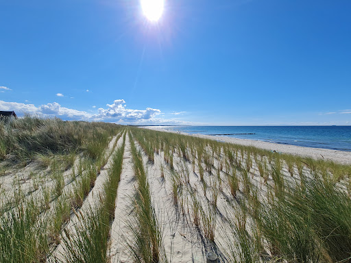 Strandübergang 2 Dierhagen