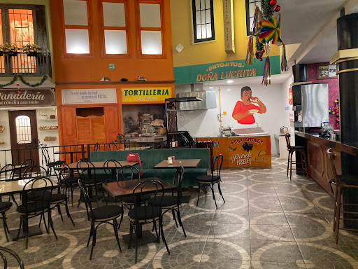 Luchatitlán - Visual
