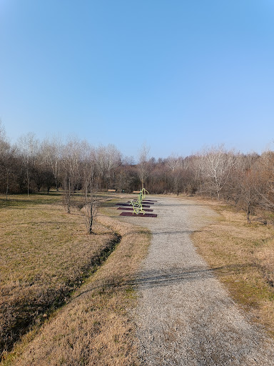Parco Ancora - Visual