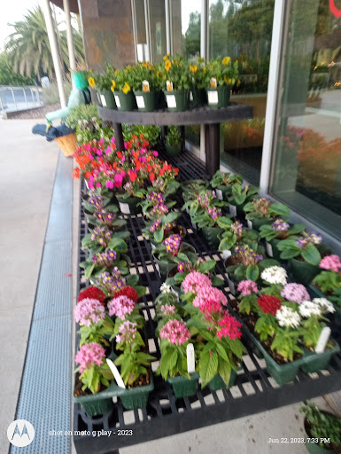 Cuyamaca College Nursery - Thumbnail