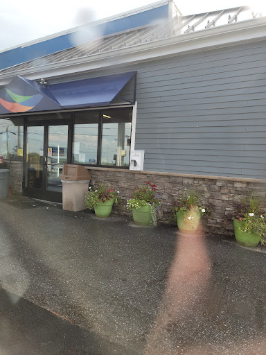 Sandri Gallery - United States