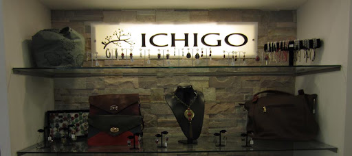 Ichigo Complementos Logo