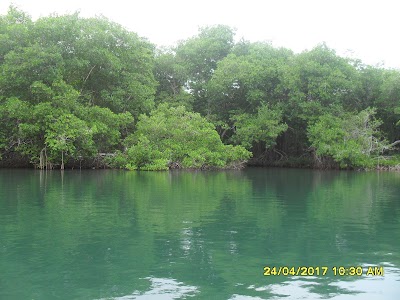 Photos of Aeropuerto Golfo de Morrosquillo