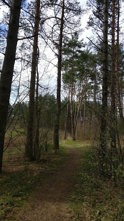 Photos of Kleboni&scaron;kio mi&scaron;ko parkas