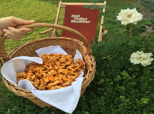 Hotel Gasthof Moosleitner by null