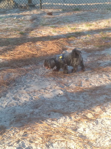Long Leaf Dog Park - Thumbnail