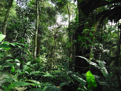 Photos of Este Park