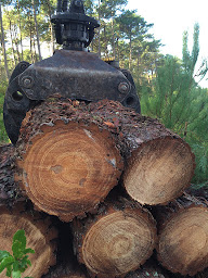 Photo n°6 de VIDEAU Philippe Travaux Forestiers à Hourtin (Service forestier)