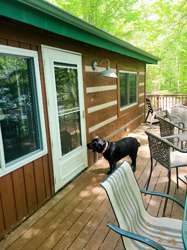 Soaring Eagle Cabin - Visual