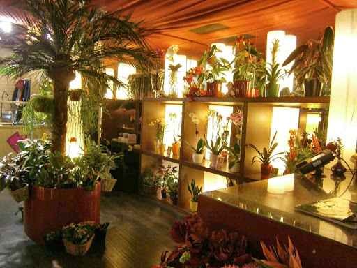 Tree Florist - Visual