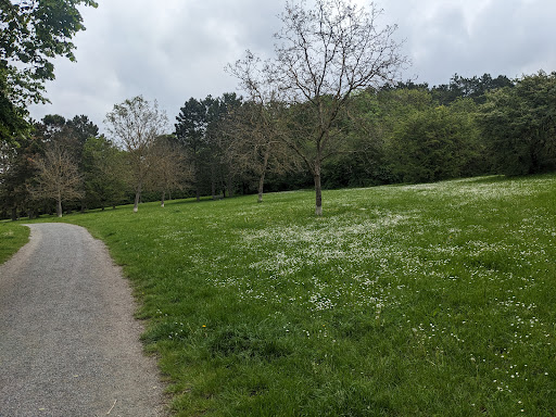 Siebold Grove - Visual