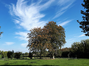 Photo n°35 de Camping Le Clos Cacheleux en Baie de Somme : hébergements insolites et piscine couverte et découvrable à Miannay (Spa)