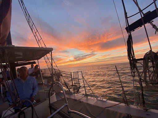 Suncoast Sailing - Visual