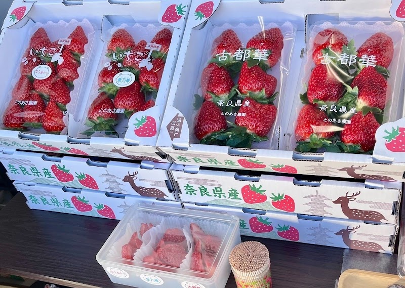 とのあさイチゴ農園