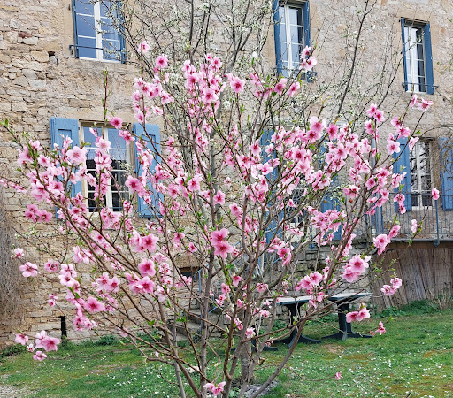 Photo de La Communale à Saint-Georges-de-Luzençon (12100)