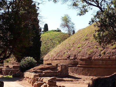 Area sosta camper attrezzata " le mimose"